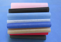 阿巴嘎涤纶（PET）无纺布是什么